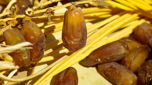 التمور - سبوتنيك عربي