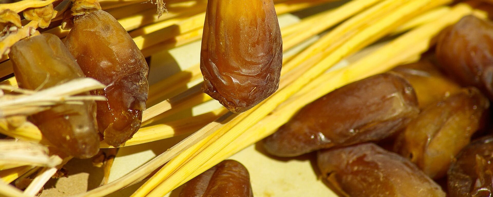 التمور - سبوتنيك عربي, 1920, 26.10.2025