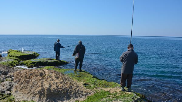 عشرة بحر.. متقاعدون سوريون يواجهون الشيخوخة بـ صداقة الصنارة على شاطئ المتوسط - سبوتنيك عربي