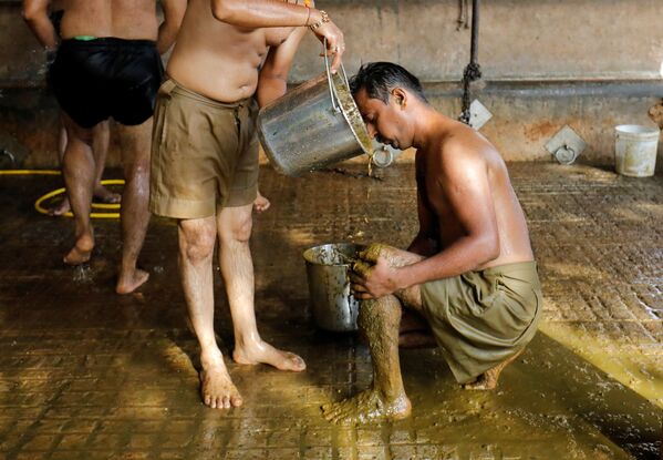 هنديون يلجأون إلى روث الأبقار كوسيلة للوقاية من المرض كوفيد-19 الذي يسببه فيروس كورونا، ضواحي أحمد آباد، الهند، 9 مايو 2021 - سبوتنيك عربي