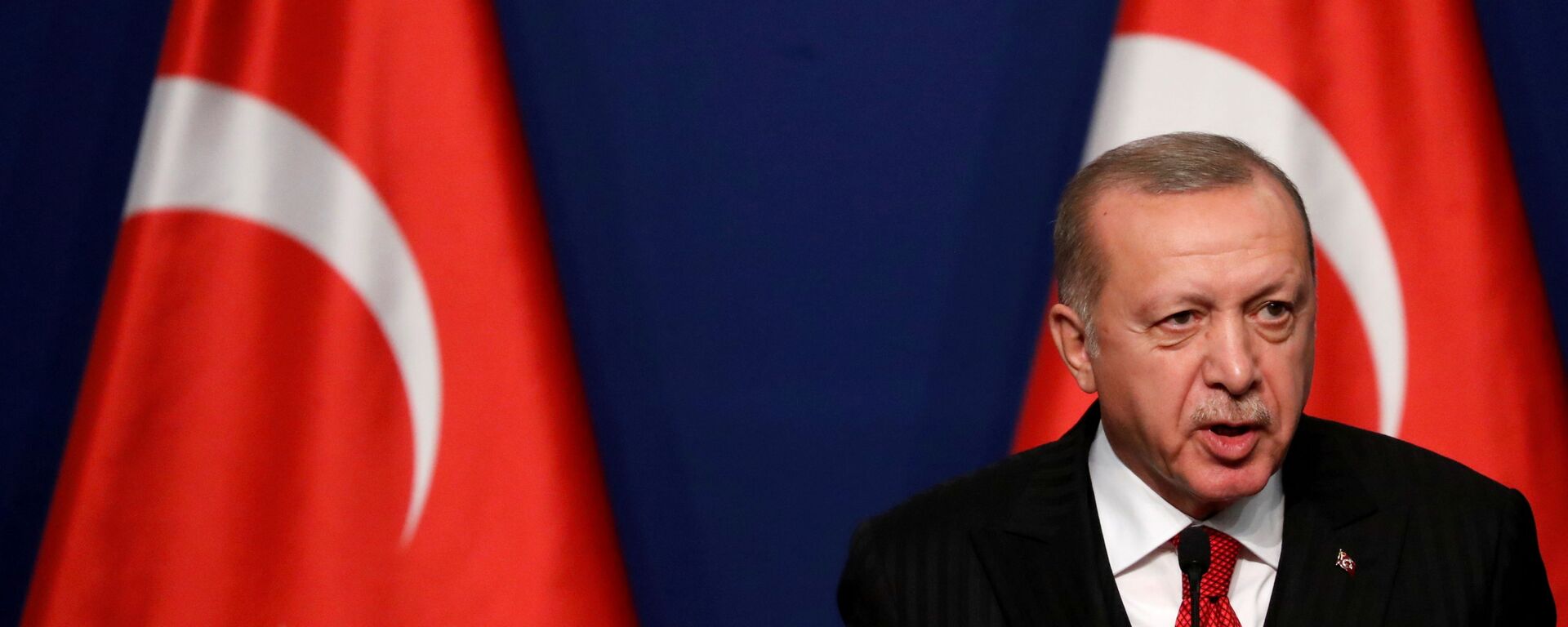 الرئيس التركي رجب طيب أردوغان، تركيا - من أرشيف 2019 - سبوتنيك عربي, 1920, 02.12.2021