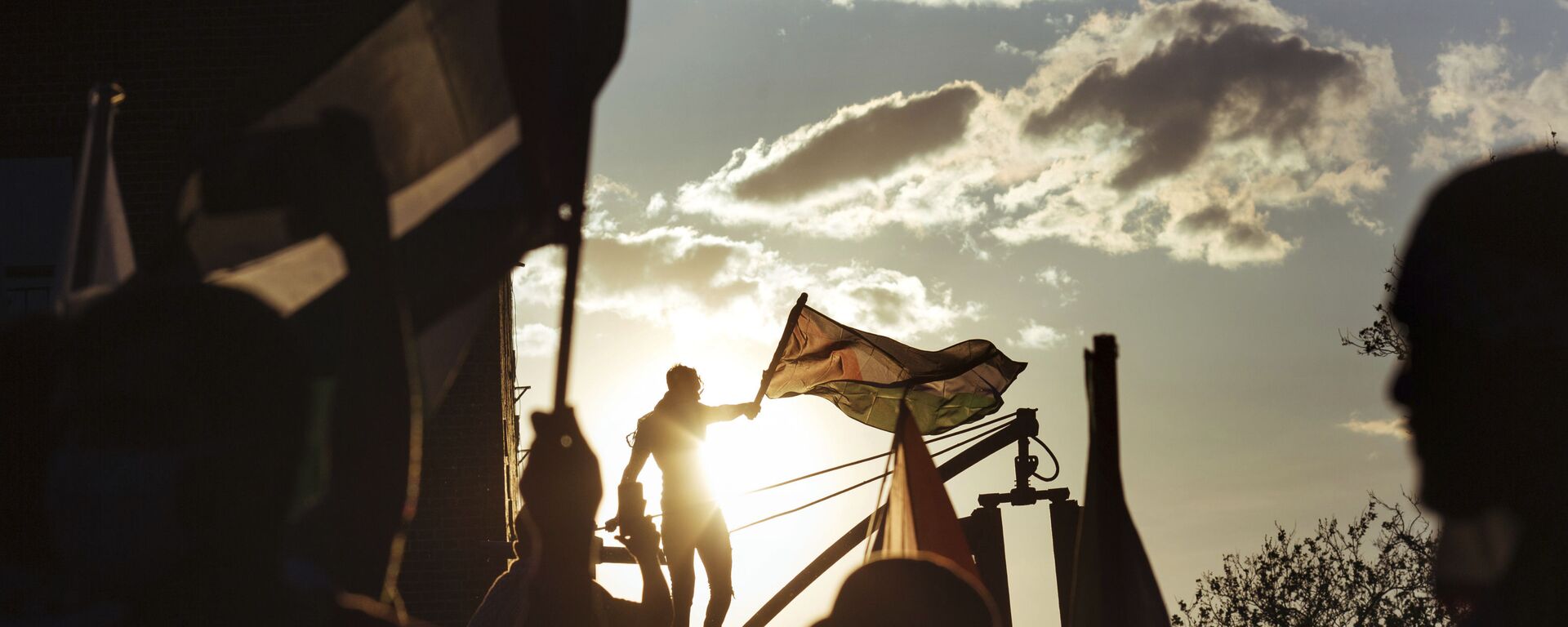 مظاهرات مؤيدة لـ فلسطين في نيويورك، الولايات المتحدة 15 مايو 2021 - سبوتنيك عربي, 1920, 01.02.2024