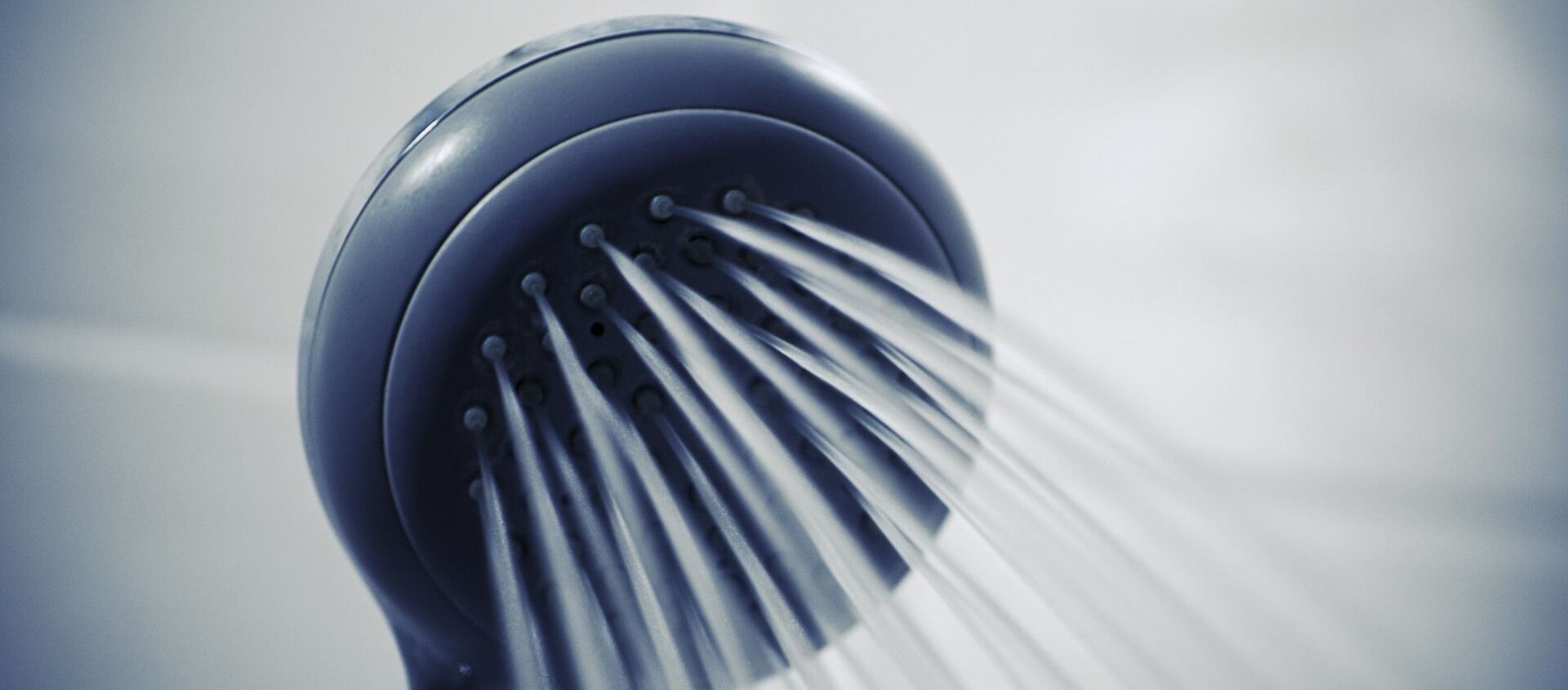 مرش للحمام مرش للحمام - سبوتنيك عربي, 1920, 23.05.2021