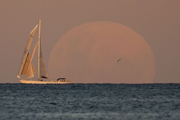 خسوف القمر العملاق في سيدني، أستراليا 26 مايو 2021 - سبوتنيك عربي