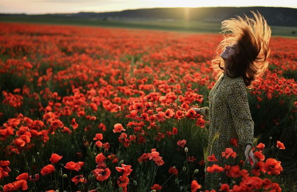 فتاة في حقل أزهار بالقرب من بلدة سيرين في حي باختشيساراي، شه جزيرة القرم، روسيا 30 مايو 2021 - سبوتنيك عربي