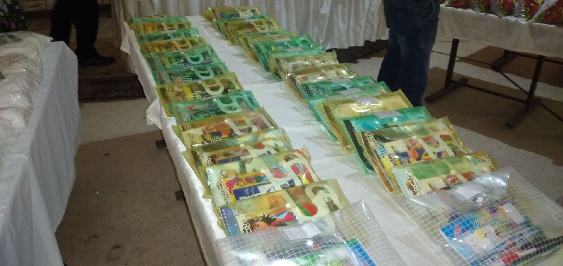 جينا لحدو... مغتربة سورية تجول في البلدان لمساعدة أطفال بلادها (فيديو وصور) جينا لحدو... مغتربة سورية تجول في البلدان لمساعدة أطفال بلادها (فيديو وصور) - سبوتنيك عربي, 1920, 04.06.2021