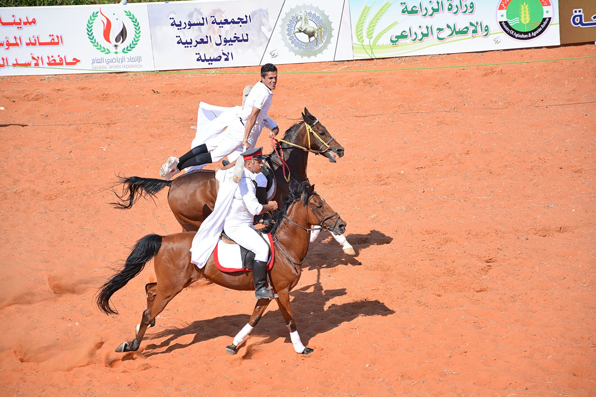 بعد صمت دام 11 عاما... صهيل الخيول العربية الأصيلة يدوّي في مدينة اللاذقية السورية...فيديو وصور - سبوتنيك عربي, 1920, 05.06.2021