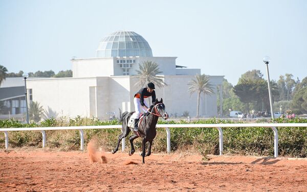 صور  من مسابقة الخيول العربية الأصيلة في سوريا في اللاذقية - سبوتنيك عربي