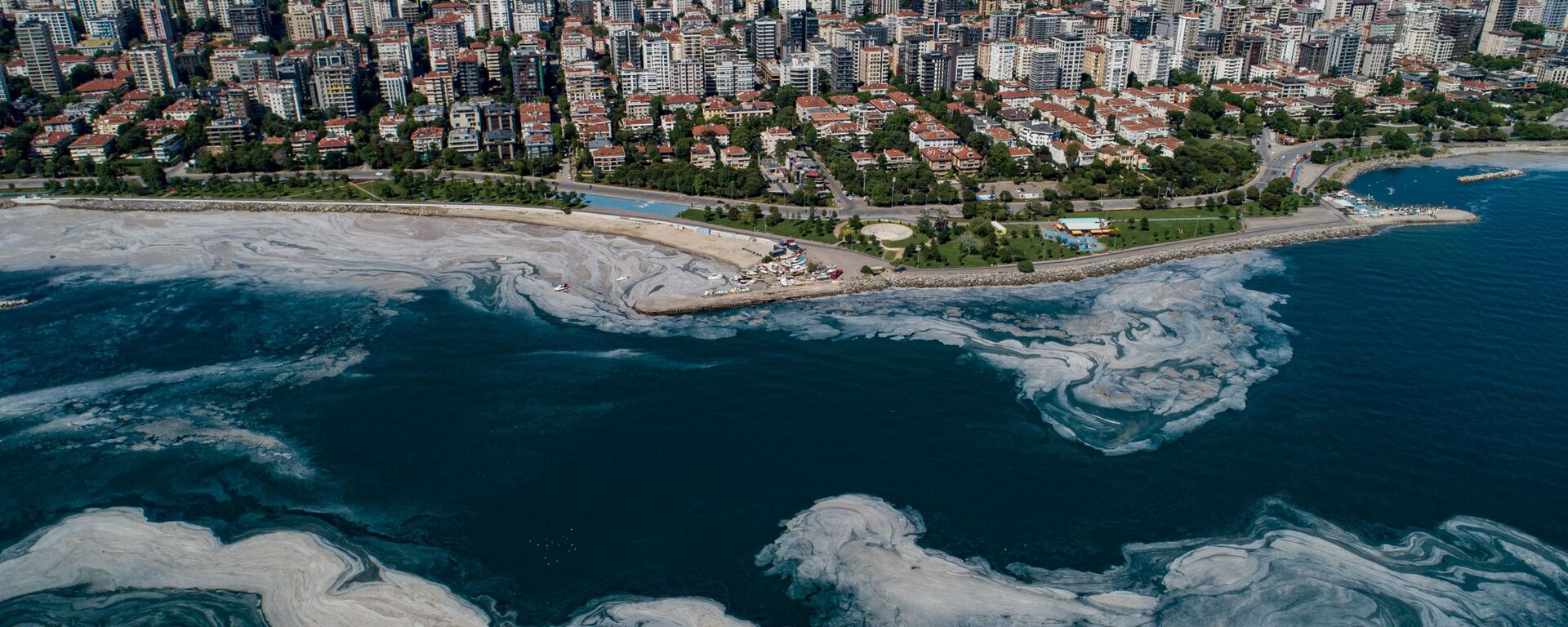 لعاب بحر مرمرة في اسطنبول، تركيا 6 يونيو 2021 - سبوتنيك عربي, 1920, 09.06.2022