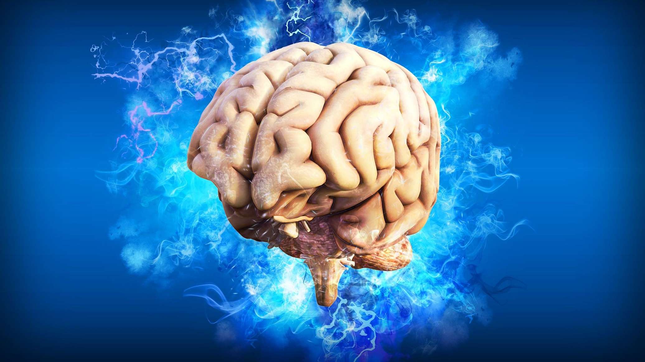 دراسة جديدة تكشف آلية استرجاع الذكريات داخل المخ