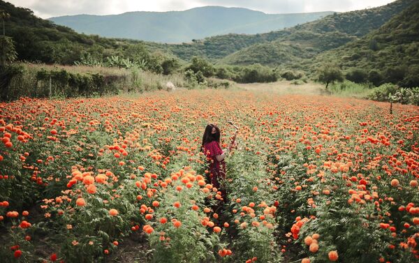 ماريا إلينا ماريا إلينا - سبوتنيك عربي
