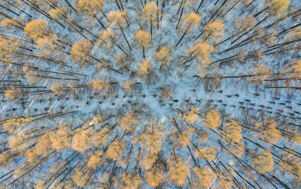 صورة التزلج باتجاه الربيع للمصور تشان تسون صورة التزلج باتجاه الربيع للمصور تشان تسون - سبوتنيك عربي