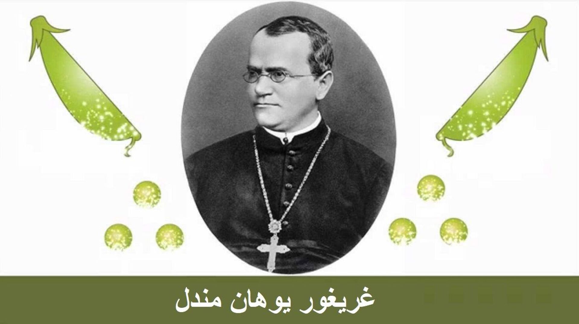 ما هي العوامل الوراثية؟ هل الذكاء والجمال وطول العمر ضمن العوامل الوراثية؟ ما هي العوامل الوراثية؟ هل الذكاء والجمال وطول العمر ضمن العوامل الوراثية؟ - سبوتنيك عربي, 1920, 26.06.2021