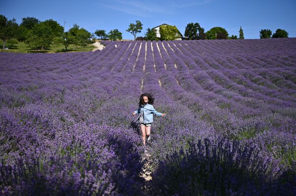 فتاة صغيرة تجري في حقل لافندر في سلا سان جيوفاني، بالقرب من كونيو، شمال غرب إيطاليا 29 يونيو 2021 - سبوتنيك عربي