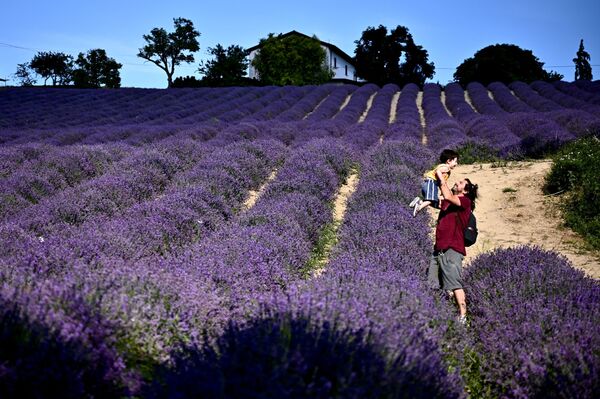 رجل يحمل طفلته في حقل لافاندر في سلا سان جيوفاني، بالقرب من كونيو، شمال غرب إيطاليا 29 يونيو 2021 - سبوتنيك عربي