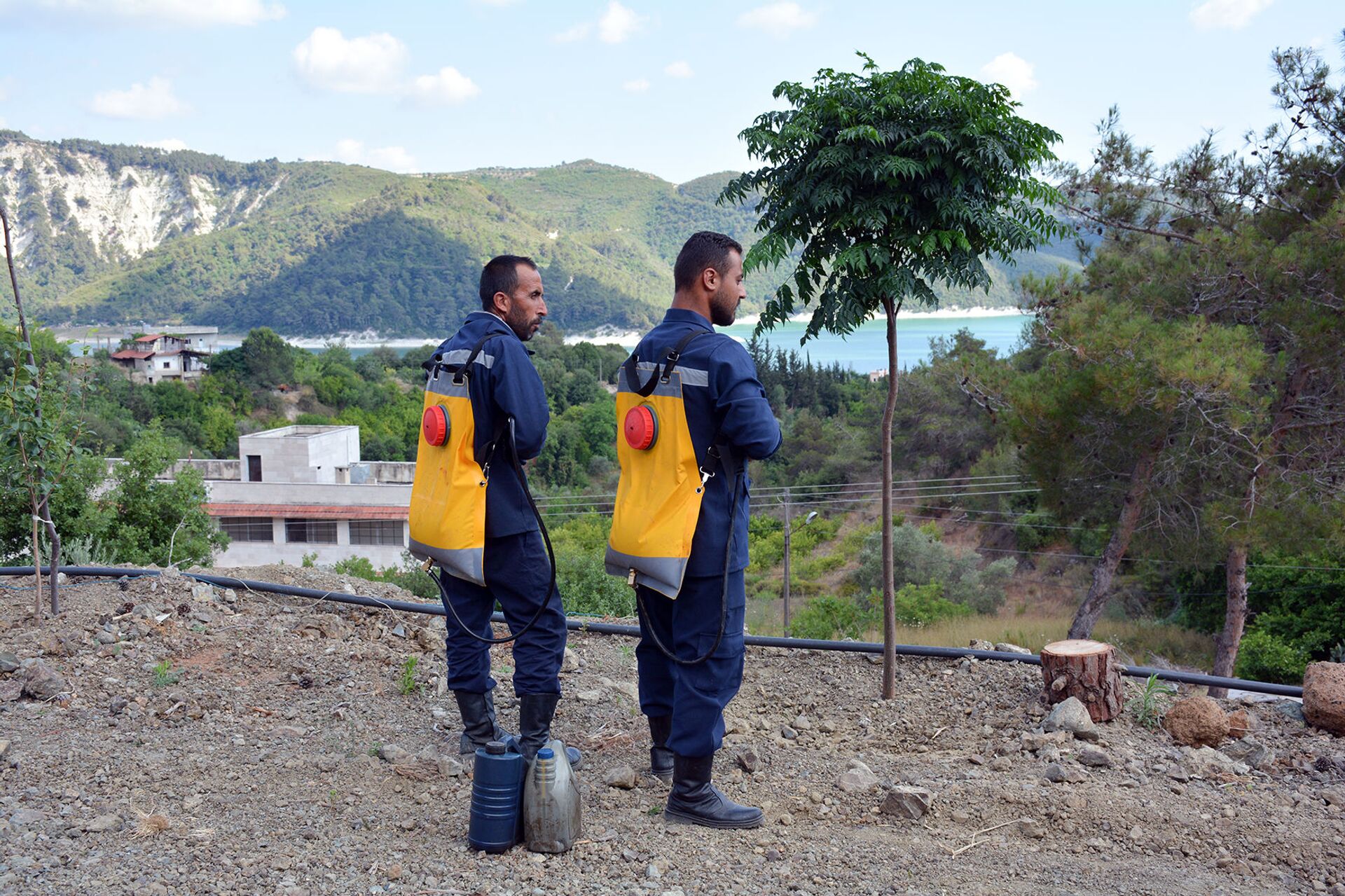 حصن مائي لتحييد الغابات السورية عن سيناريو الحرائق - سبوتنيك عربي, 1920, 06.07.2021