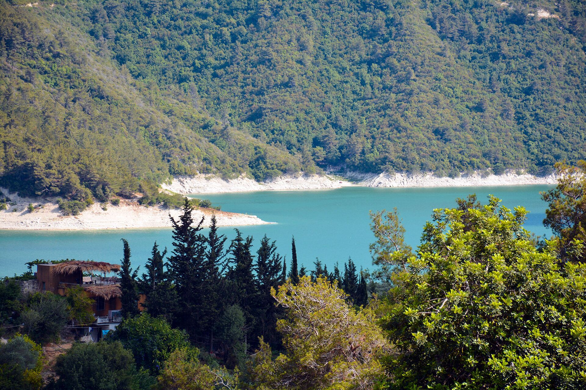 حصن مائي لتحييد الغابات السورية عن سيناريو الحرائق - سبوتنيك عربي, 1920, 06.07.2021
