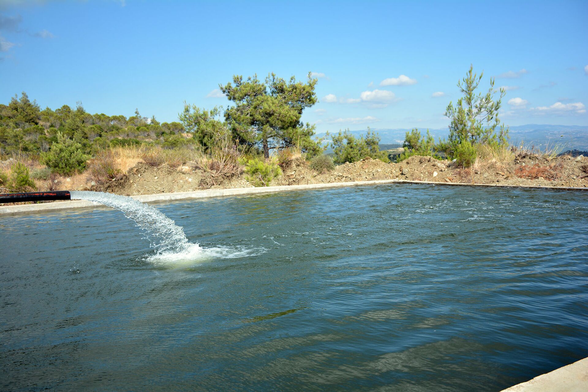 حصن مائي لتحييد الغابات السورية عن سيناريو الحرائق - سبوتنيك عربي, 1920, 06.07.2021