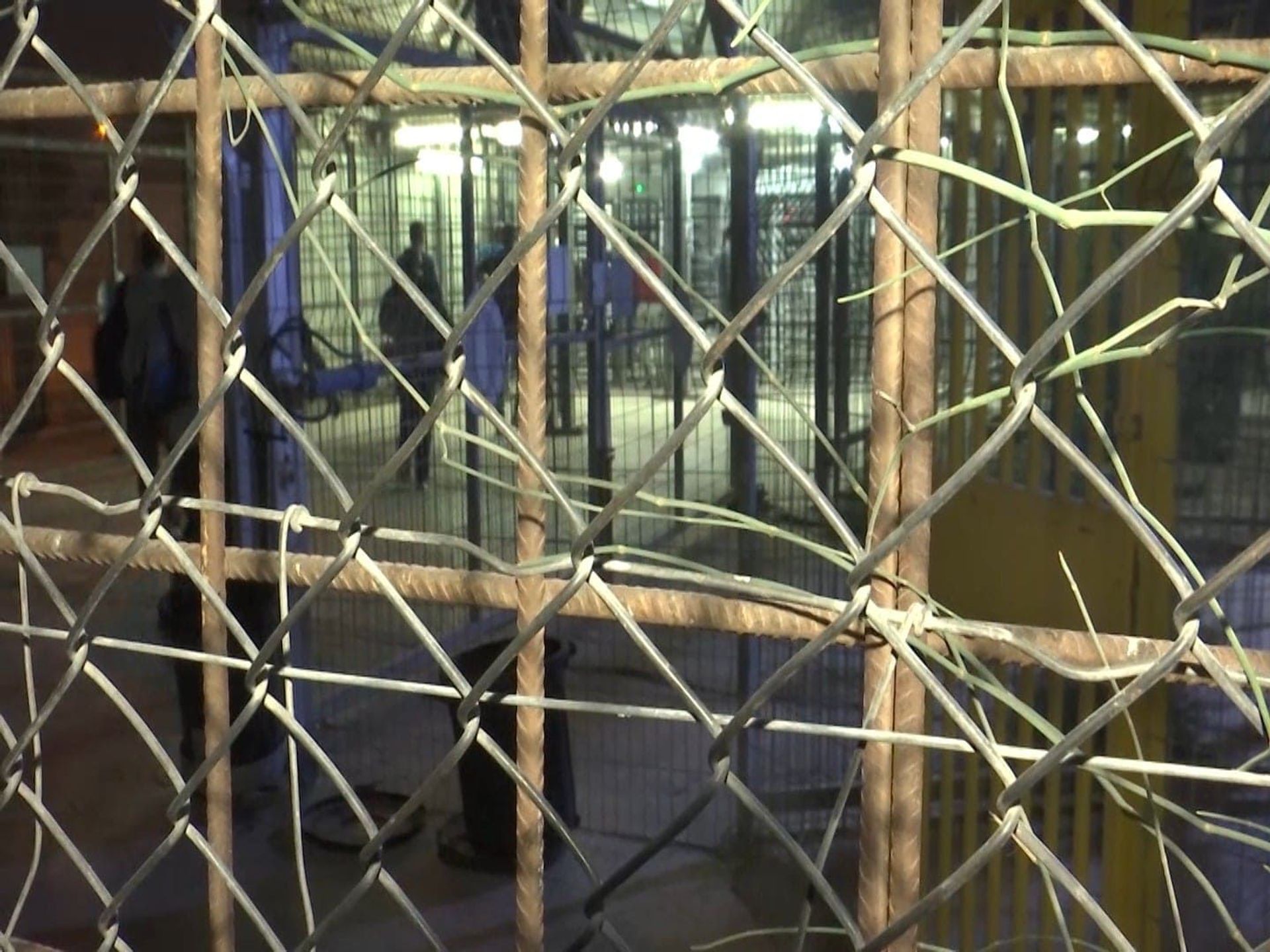 عمال فلسطين... رحلة معاناة على المعابر الإسرائيلية للحصول على لقمة العيش... صور وفيديو  - سبوتنيك عربي, 1920, 10.07.2021