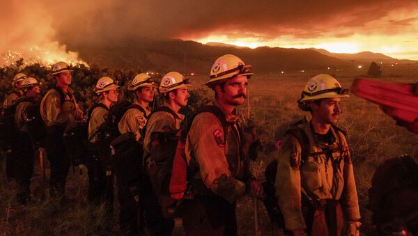 رجال إطفاء الحرائق يصلون إلى غابة بلوماس الوطنية، دويل، ولاية كاليفورنيا، الولايات المتحدة 9 يوليو 2021 - سبوتنيك عربي