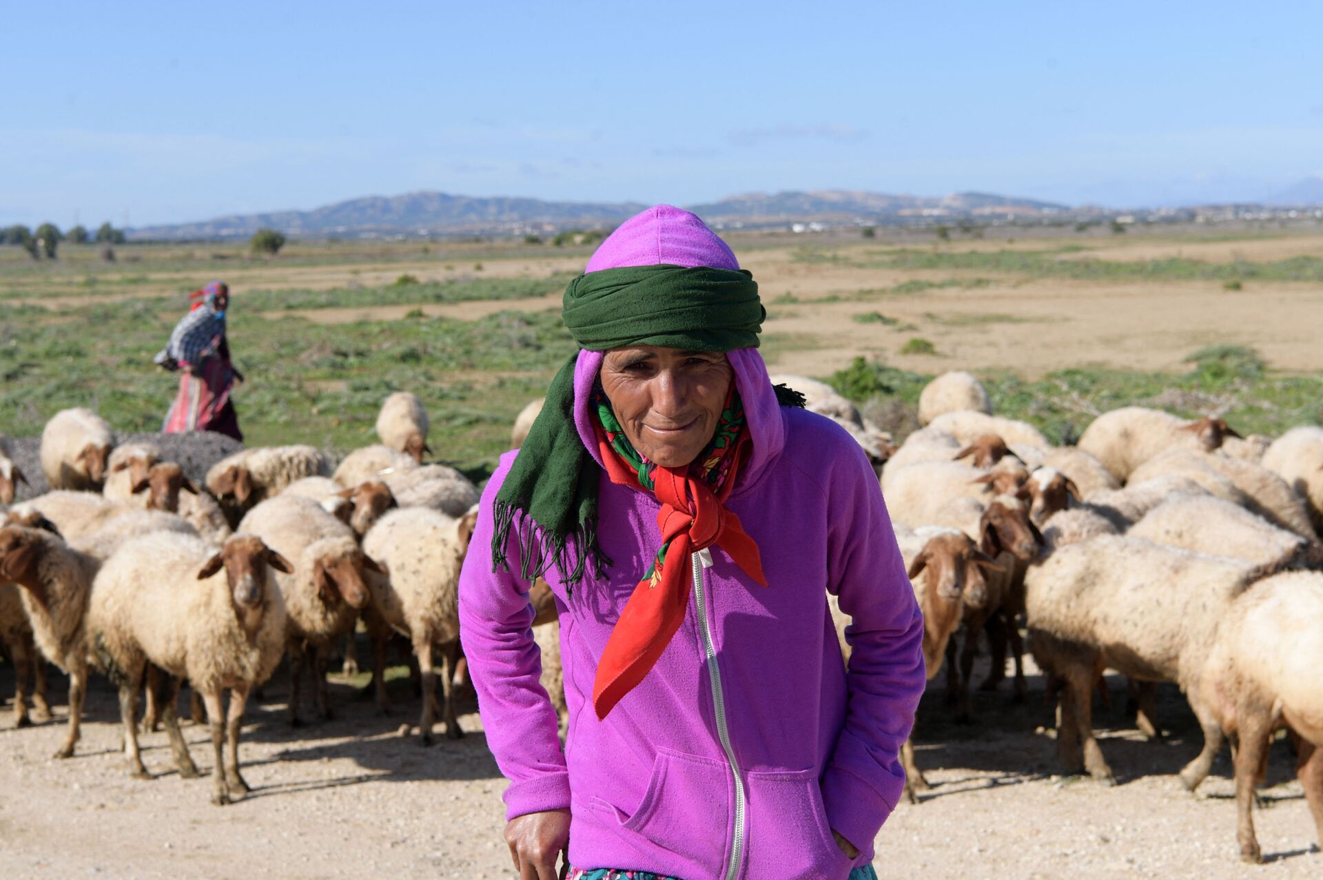 تونسيون يشترون الأضاحي عبر الإنترنت ومطالب بإلغاء الاحتفال بالعيد... صور - سبوتنيك عربي, 1920, 12.07.2021