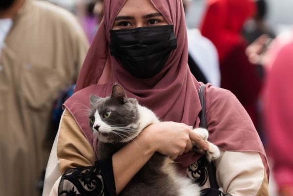 أجواء الاحتفال بعيد الأضحى، فتاة تمسك بقطها بعد صلاة العيد في المسجد الأزرق في مدينة تاغويغ، االفلبين 20 يوليو 2021 - سبوتنيك عربي