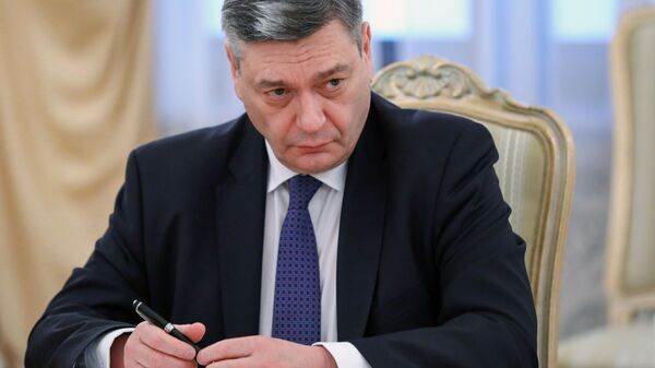 نائب وزير الخارجية الروسية، أندريه رودينكو - سبوتنيك عربي