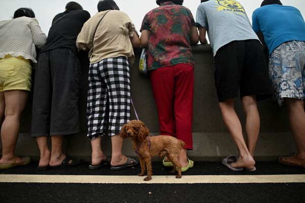 مواطنون ينظرون إلى السيارات المتراكمة في نفق في مدينة تشنغتشو التي غمرتها مياه الفيضانات، وسط محافظة هينان، الصين 21 يوليو 2021 - سبوتنيك عربي