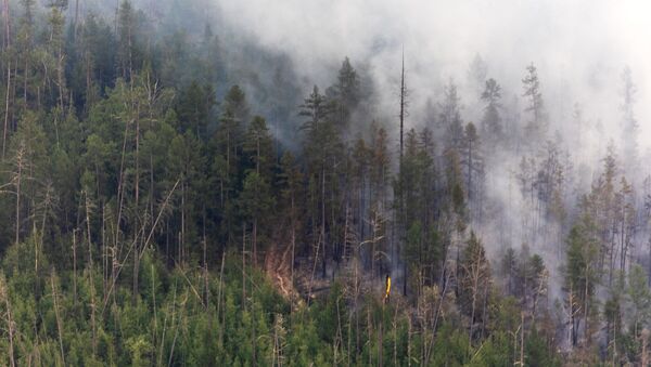 اطفاء حرائق الغابات في ياقوتيا، روسيا  7 يوليو 2021 - سبوتنيك عربي