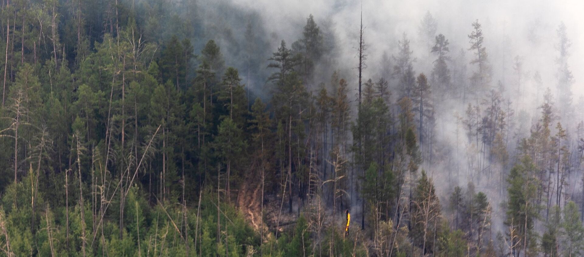 اطفاء حرائق الغابات في ياقوتيا، روسيا  7 يوليو 2021 - سبوتنيك عربي, 1920, 07.08.2021