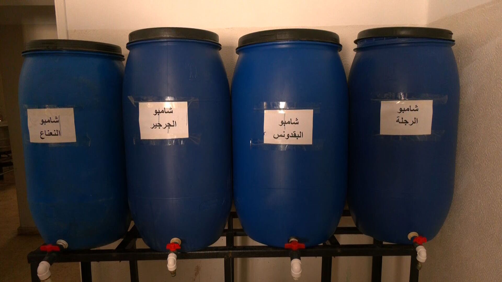 زيوت ومستحضرات تجميل باستخدام النباتات الطبيعية بأيدي فلسطينيات في غزة - سبوتنيك عربي, 1920, 28.07.2021