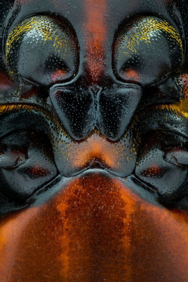 صورة بعنوان التباعد الاجتماعي، للمصور يوسف الحبشي الهاشمي من الإمارات العربية المتحدة، الفائز بالمركز الرابع في فئة بورتفوليو من مسابقة التصوير الدولية جائزة حمدان بن محمد بن راشد آل مكتوم الدولية للتصوير الضوئي - سبوتنيك عربي