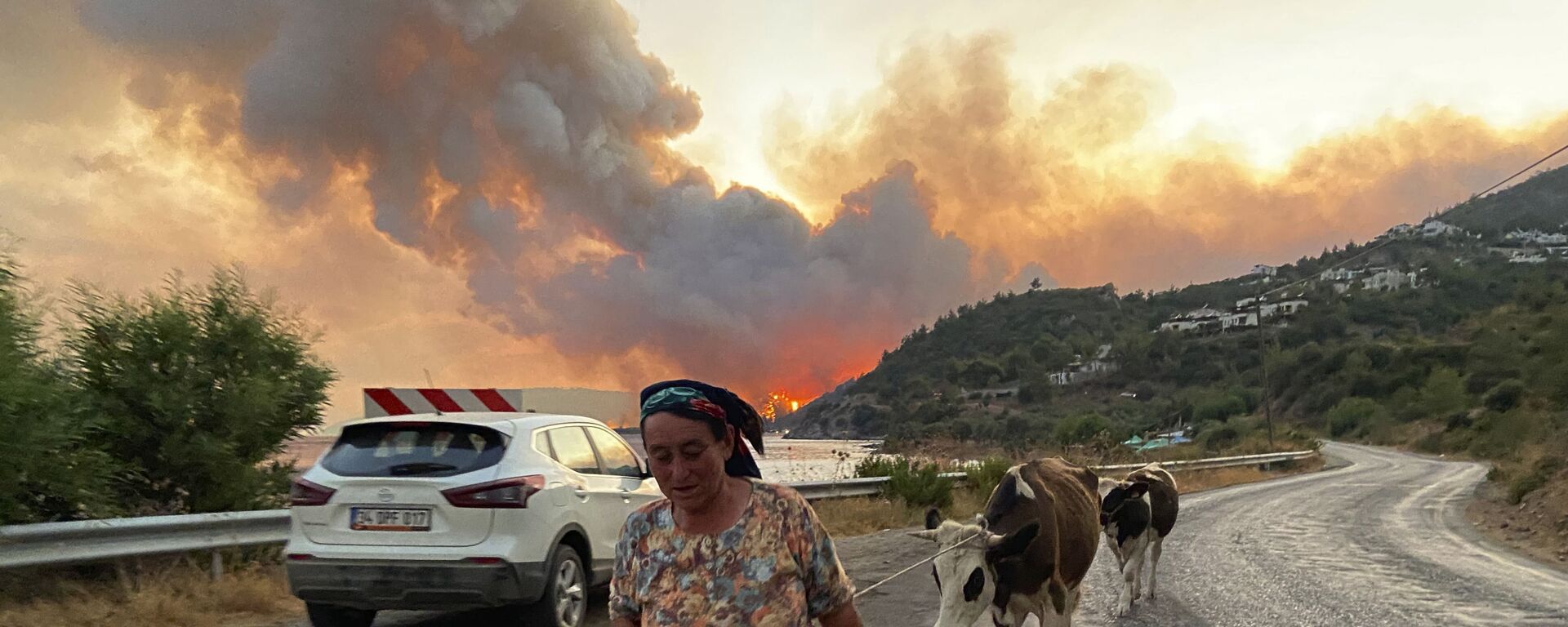 أهالي و حيوانات المناطق المتضررة من حرائق الغابات في تركيا، 2 أغسطس 2021 - سبوتنيك عربي, 1920, 08.08.2021