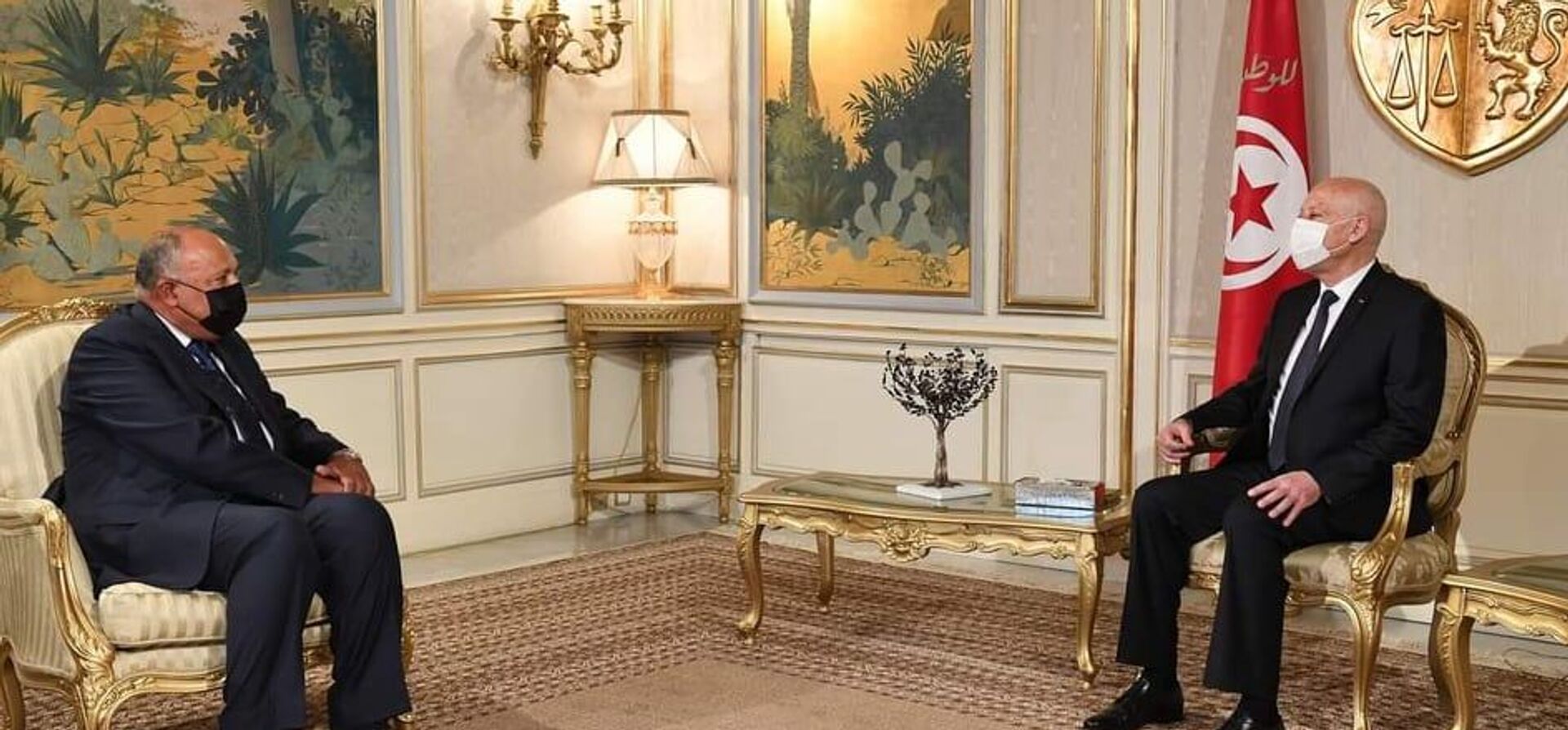 رئيس الجمهورية في تونس قيس سعيد يستقبل وزير الخارجية المصري سامح شكري رئيس الجمهورية في تونس قيس سعيد يستقبل وزير الخارجية المصري سامح شكري - سبوتنيك عربي, 1920, 30.09.2021