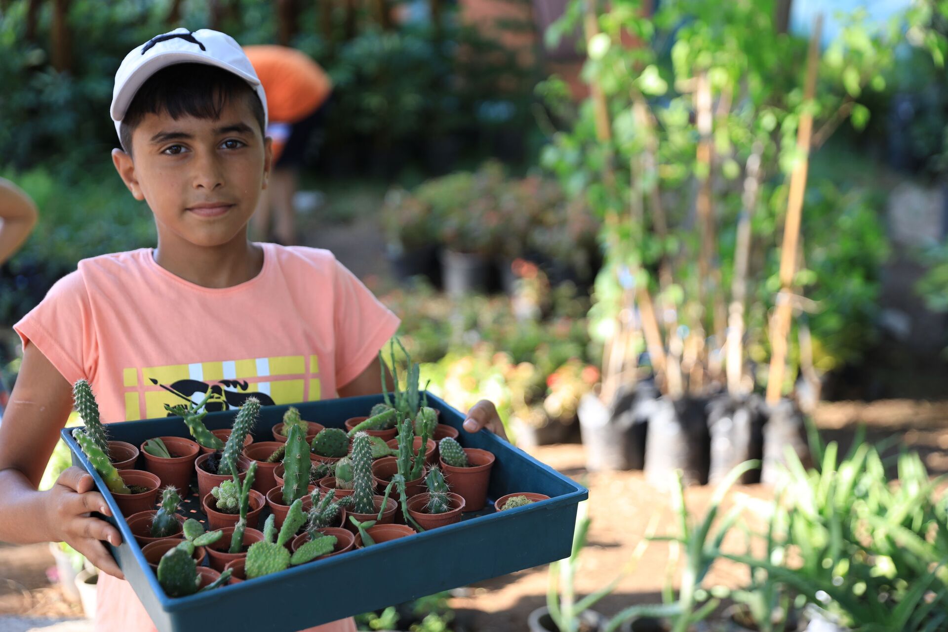 الزهور السورية تنشر عبيرها في السعودية وقطر وتركيا... صور وفيديو - سبوتنيك عربي, 1920, 04.08.2021