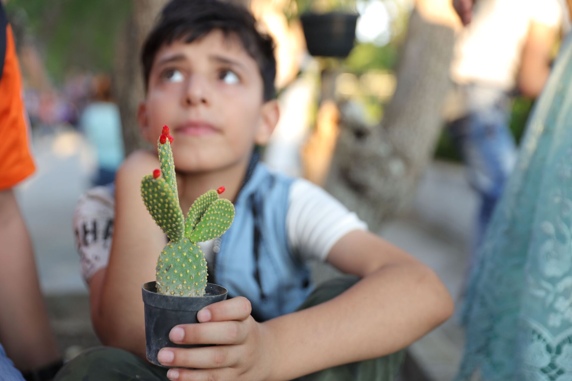 الزهور السورية تنشر عبيرها في السعودية وقطر وتركيا... صور وفيديو - سبوتنيك عربي, 1920, 04.08.2021