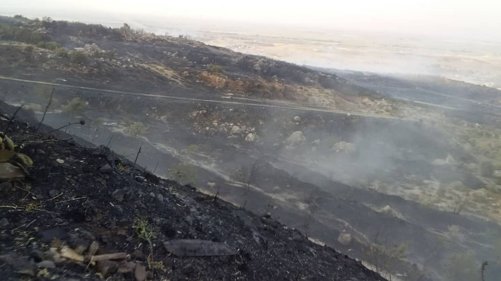  العناية الإلهية تناصر وحدات إطفاء الحرائق في مصياف وسط سوريا...صور - سبوتنيك عربي, 1920, 08.08.2021