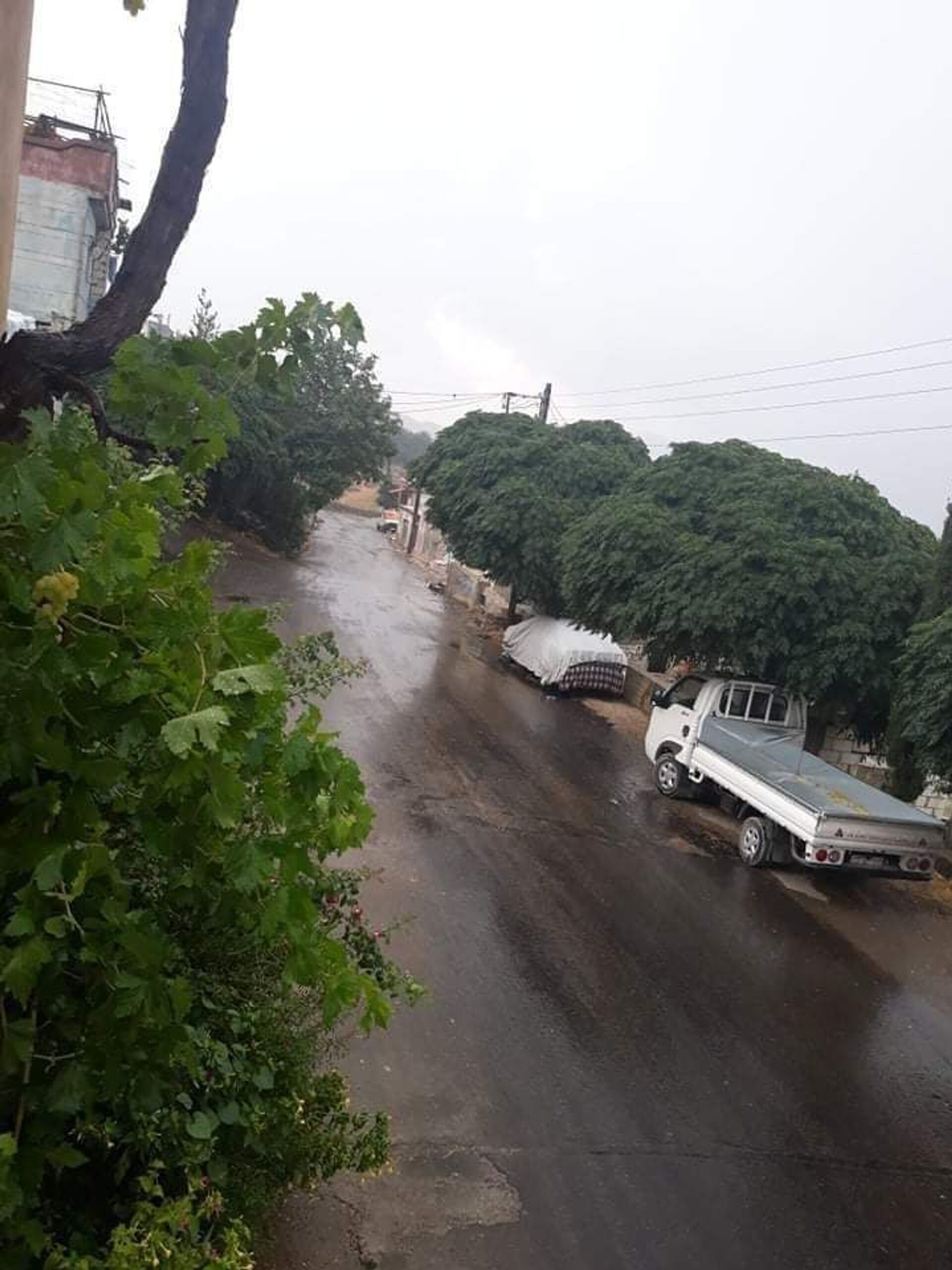  العناية الإلهية تناصر وحدات إطفاء الحرائق في مصياف وسط سوريا...صور - سبوتنيك عربي, 1920, 08.08.2021