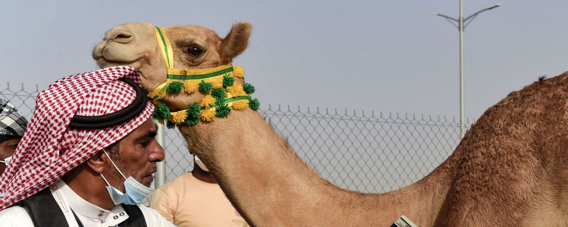 فحص رقاقة الإبل قبل المسابقة في مدينة الطائف السعودية - سبوتنيك عربي, 1920, 12.08.2021