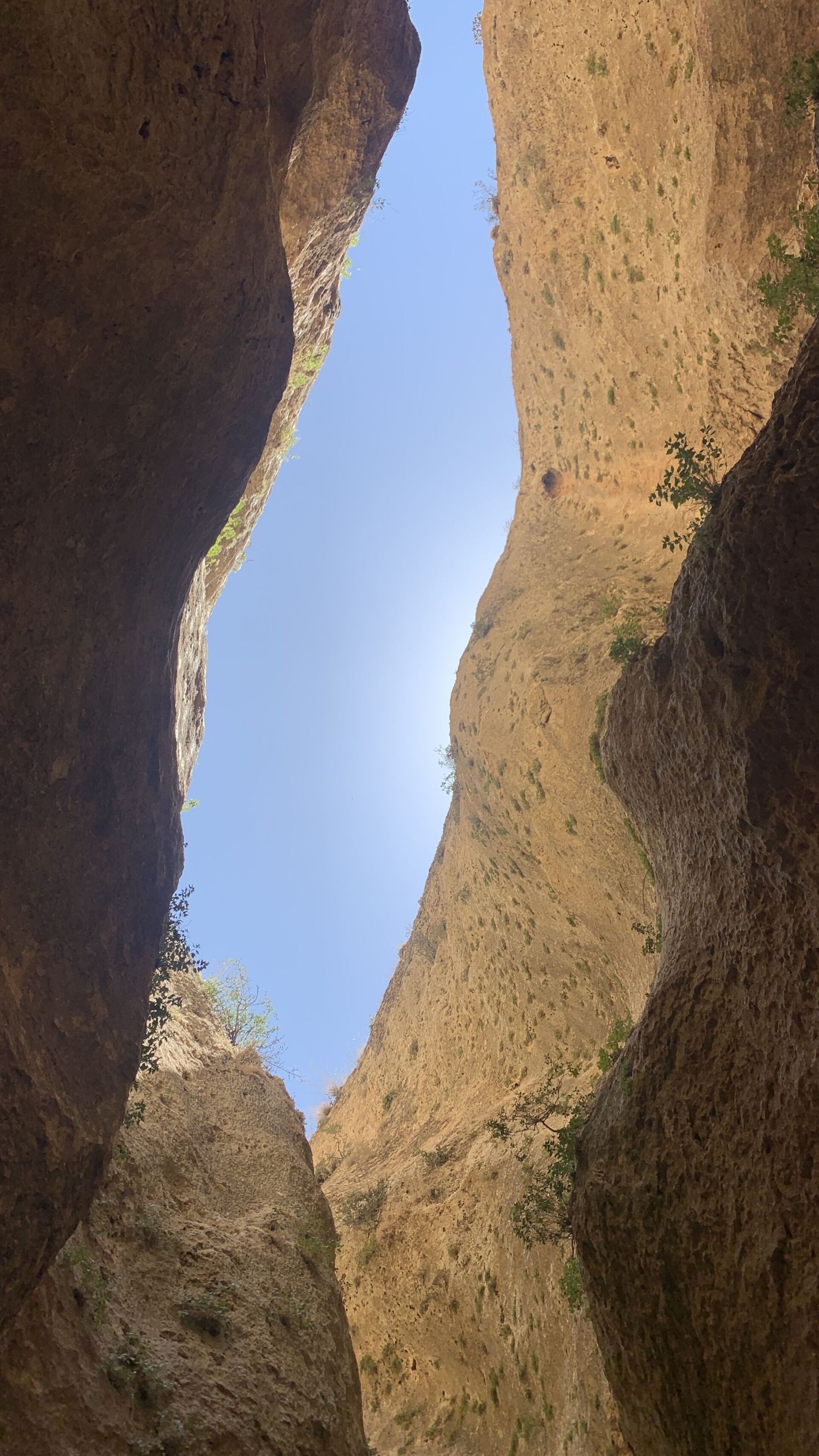  فج مارتقلا.. أبرز المعالم المسيحية شمال دمشق يستأنف استقبال السياح مجددا... صور - سبوتنيك عربي, 1920, 18.08.2021