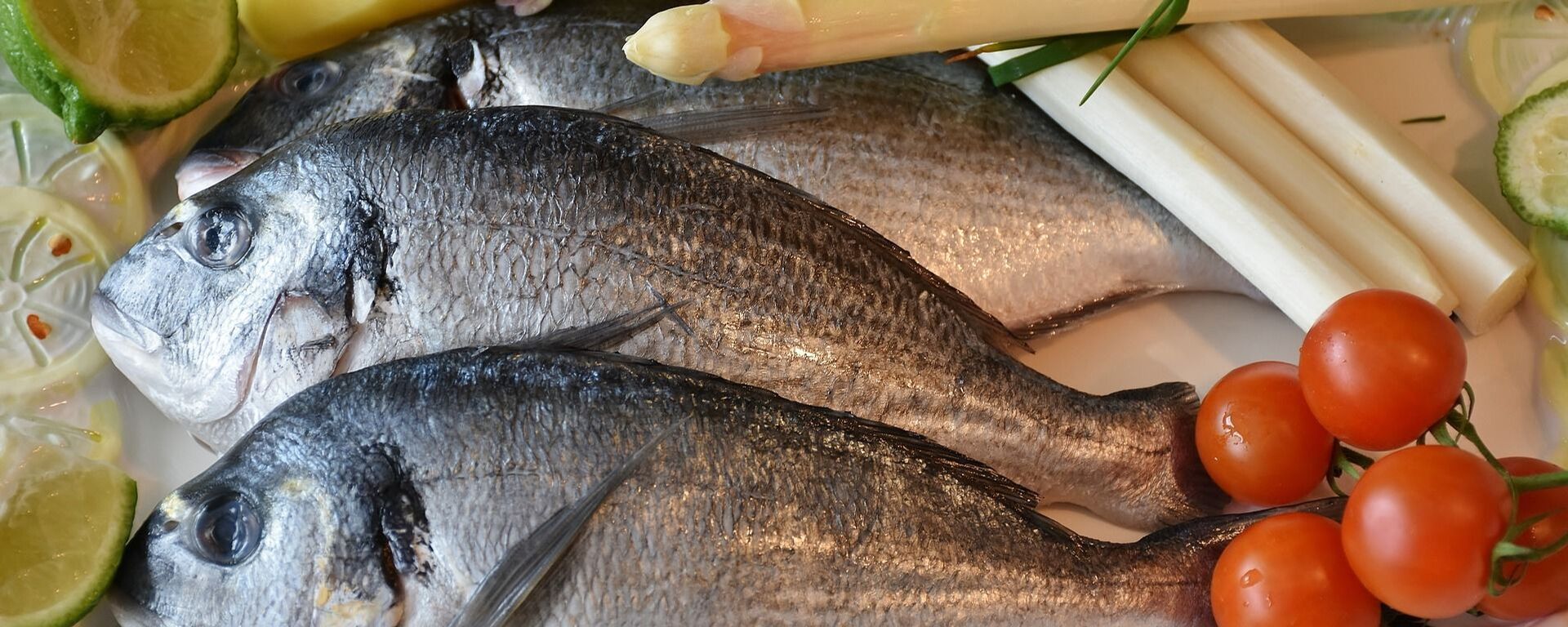 أسماك سمك وجبة - سبوتنيك عربي, 1920, 13.12.2021