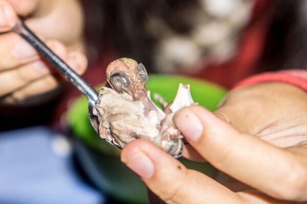 أكلة آسيوية تسمى بالوت (جنين البط) - سبوتنيك عربي