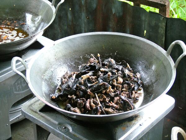 طبق بانيكي (الخفافيش المقلية) - سبوتنيك عربي