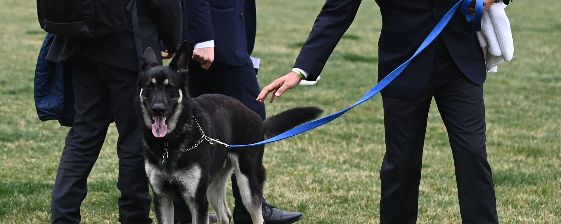 ميجور كلب الرئيس الأمريكي جو بايدن - سبوتنيك عربي, 1920, 26.07.2023