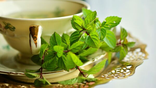مشروب الشاي الأخضر مع النعناع  - سبوتنيك عربي