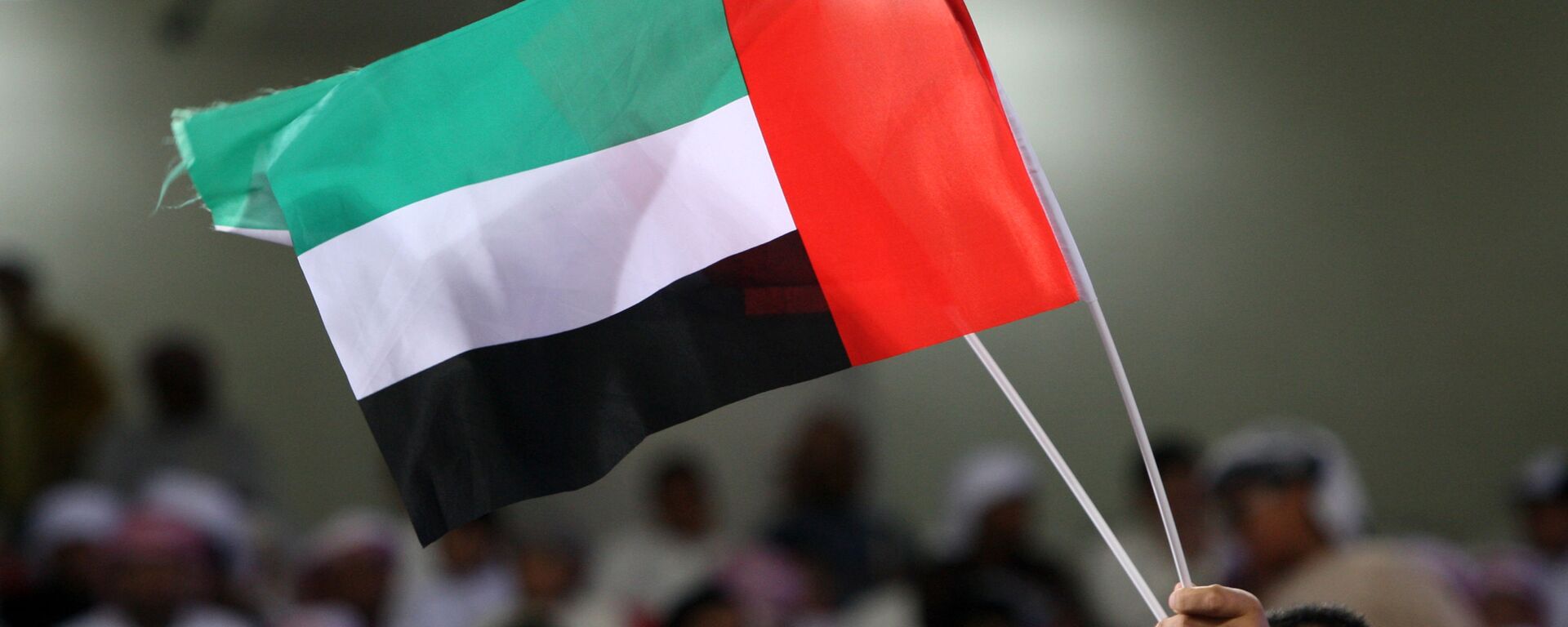 علم دولة الإمارات العربية المتحدة - سبوتنيك عربي, 1920, 15.01.2023