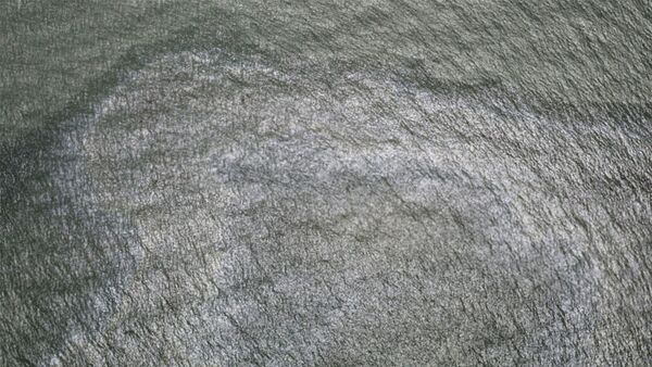 اكتشاف تسرب نفطي في خليج المكسيك بعد إعصار إيدا - سبوتنيك عربي