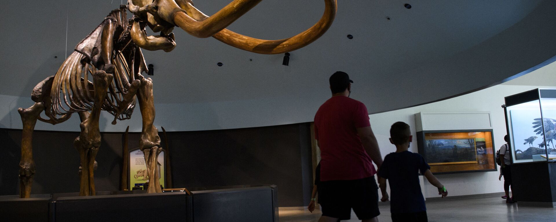 هيكل عظمي لحيوان الماموث الصوفي - سبوتنيك عربي, 1920, 05.03.2025