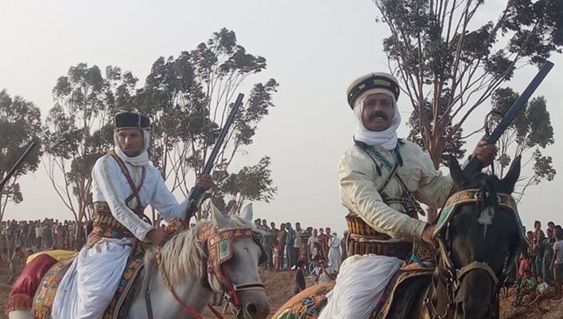 الزردة: فلكلور شعبي تونسي يأبى النسيان الزردة: فلكلور شعبي تونسي يأبى النسيان - سبوتنيك عربي, 1920, 16.09.2021