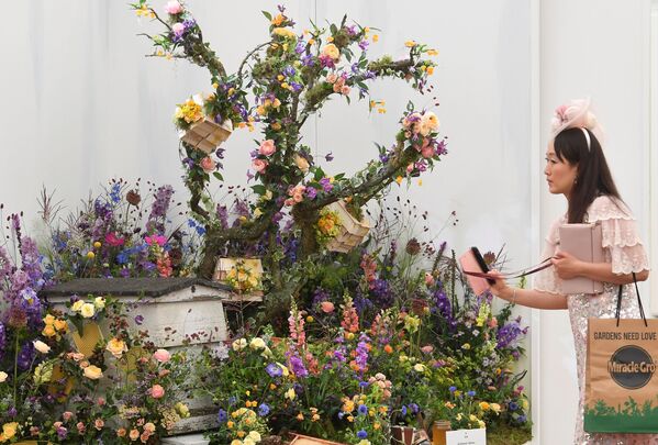 افتتاح معرض تشيلسي الكبير للزهور في لندن، إنجلترا 20 سبتمبر 2021 - سبوتنيك عربي